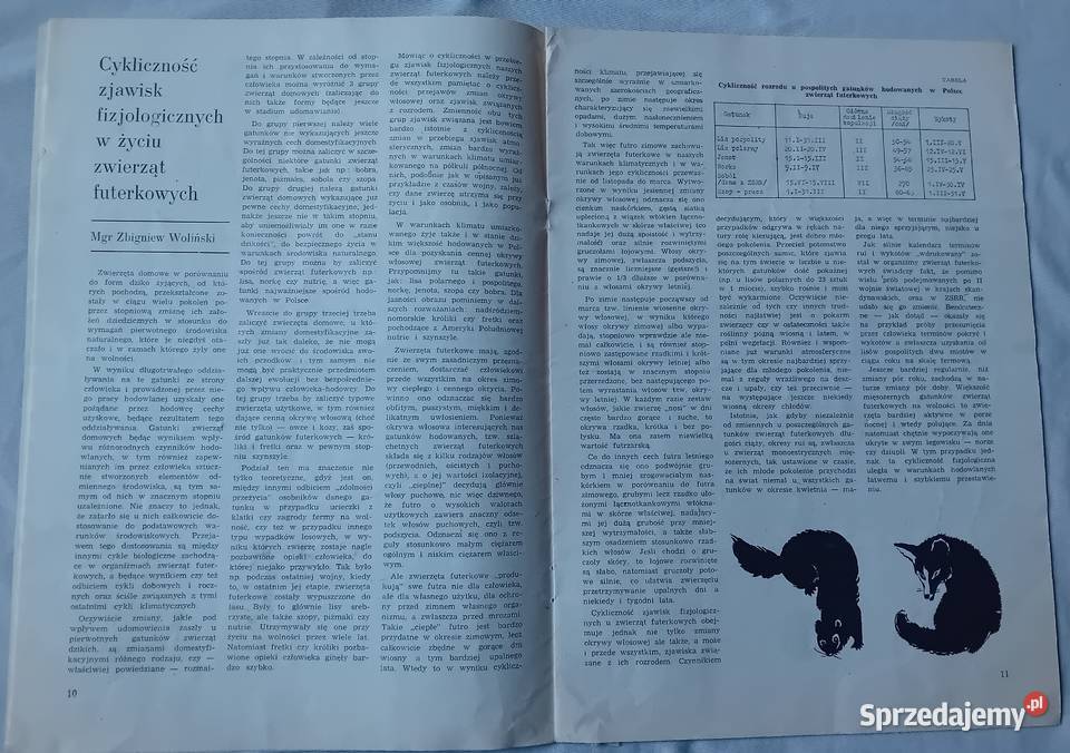 Hodowca Drobnego Inwentarza 10 1983 r Koźminek