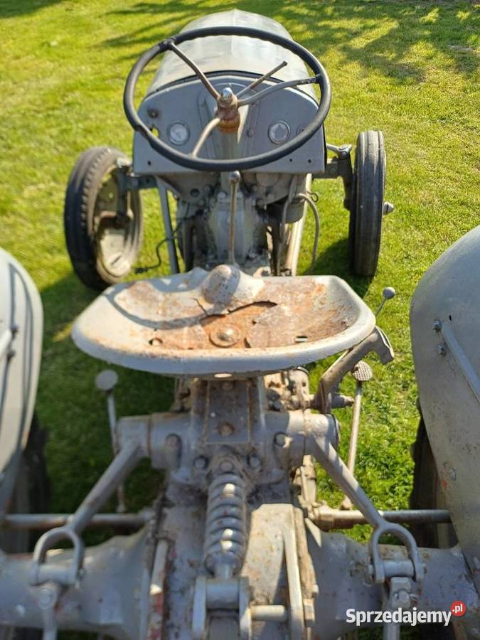 Massey ferguson TEA 20 Płonne sprzedam