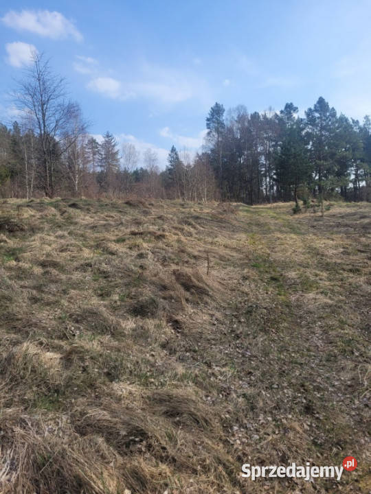 duża Działka budowlana malowniczo położona Nieruchomości Polanów
