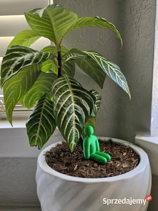 Meccha Chameleon Figurki Gry 8 70mm Białe Do Siedlce