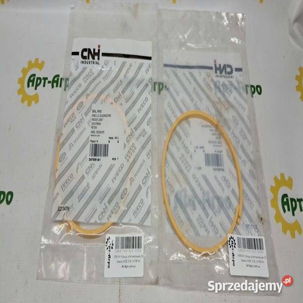 247881A1 Oring CNH