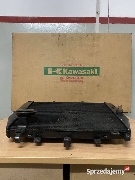 Chłodnica wody płynu Kawasaki ZX12R NINJA ZX12R Pozostałe Motoryzacja