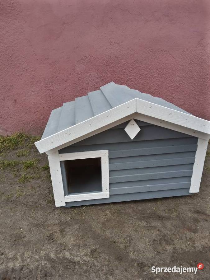 Domekbuda kota kotówPromocja