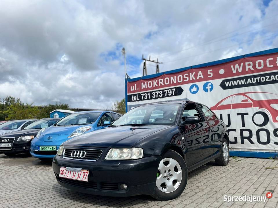 Audi A3 8L 19 TDI 2002 Polift Alufelgi Rok produkcji 2002 dolnośląskie Wrocław sprzedam