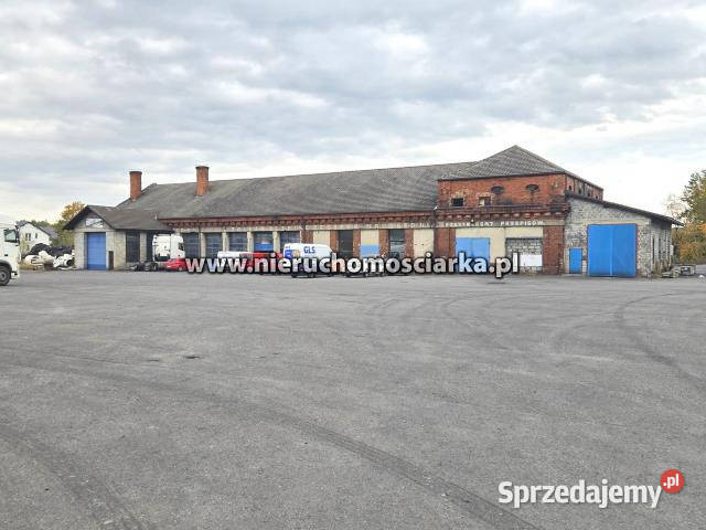 wynajmu lokalu Gorzyczki 200m2