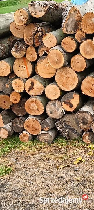 Drewno opałowe buk cięte łupane Witowice Dolne