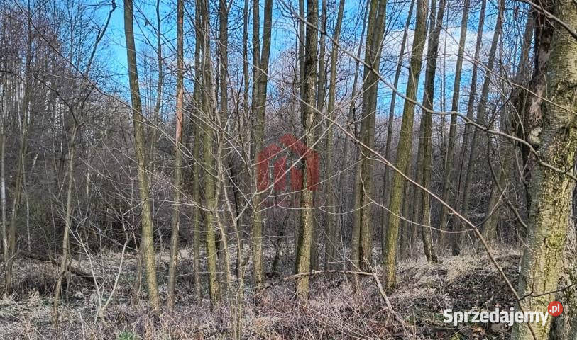 Grunt na sprzedaż 3500m2 Woliczka 25m