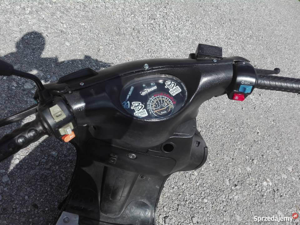 Kingway Koyot Zakrzówek