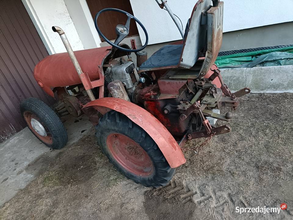 Sprzedam bolens dzika 21 Tłuszcz