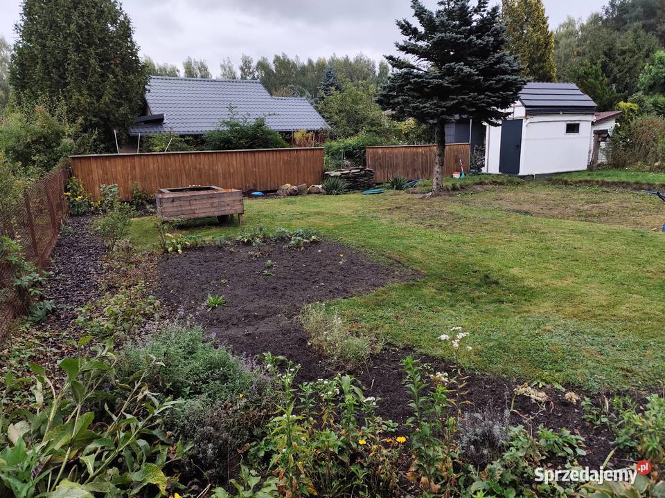 Sprzedam działkę ROD Przypki 114zł/m2