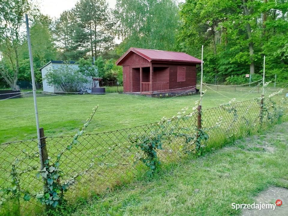 Działka rekreacyjna na ROD Meran Otwock