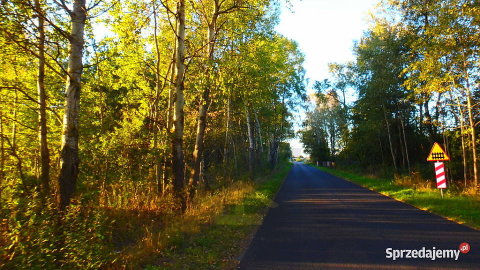 Działka budowlana w Niechnabrzu Niechnabrz sprzedam