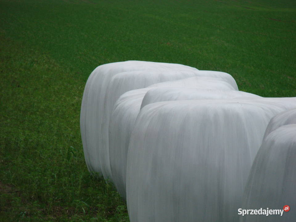 sianokiszonka Oborniki