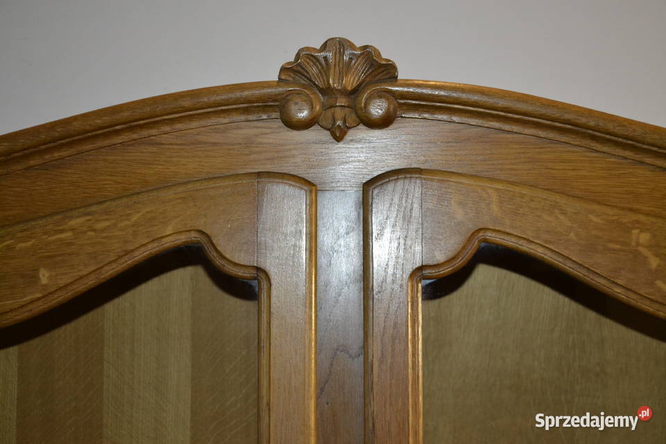 biblioteka witryna ludwikowska dąb