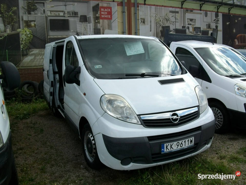 Opel Vivaro Opel Vivaro elektryczne lusterka Opel Katowice