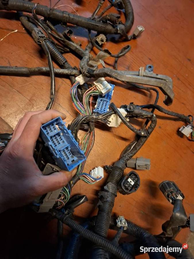 Wiązka instalacja elektryczna silnika skrzynka Przyborów