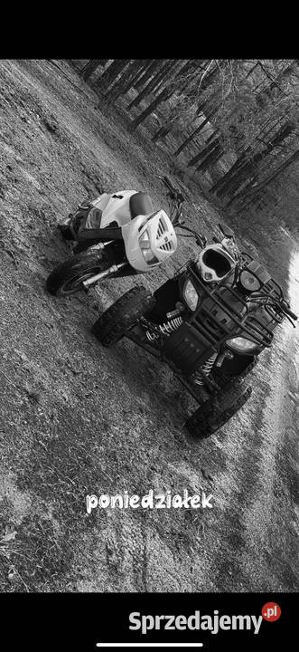 Sprzedam quada 250 250cm3 Świbinki