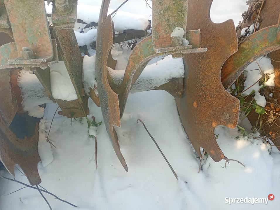 Talerzówka brona talerzowa Włocławek