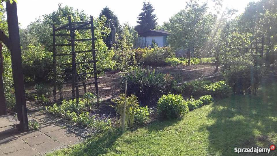 OGRÓDEK DZIAŁKOWY 360m2