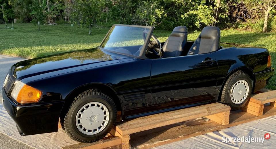 SKUP AUTEK ALPHA JUNIOR ZASADA W KAŻDYM STANIE Katowice