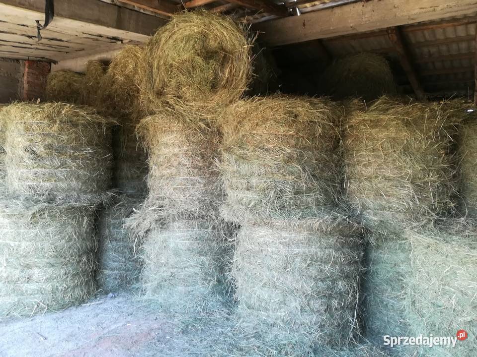 SPRZEDAM SIANO Konin