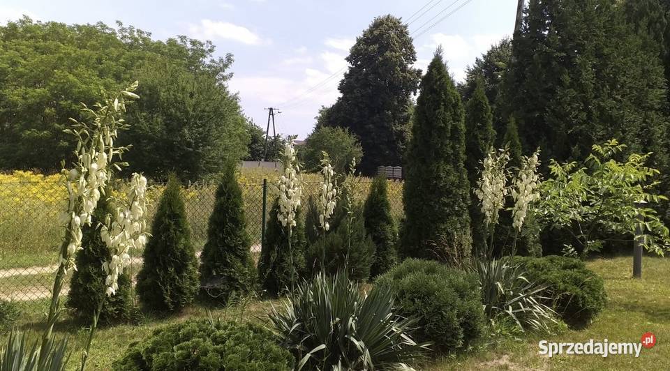 Dom całoroczny z pustaka mazowieckie wolnostojący mazowieckie Mokrzec