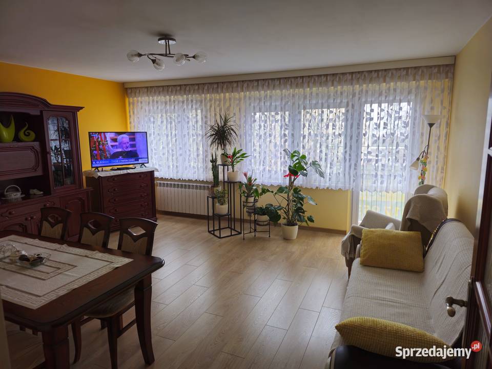 Mieszkanie58m2 III Piętro osiedle Wyzwolenia 3 piętra i więcej