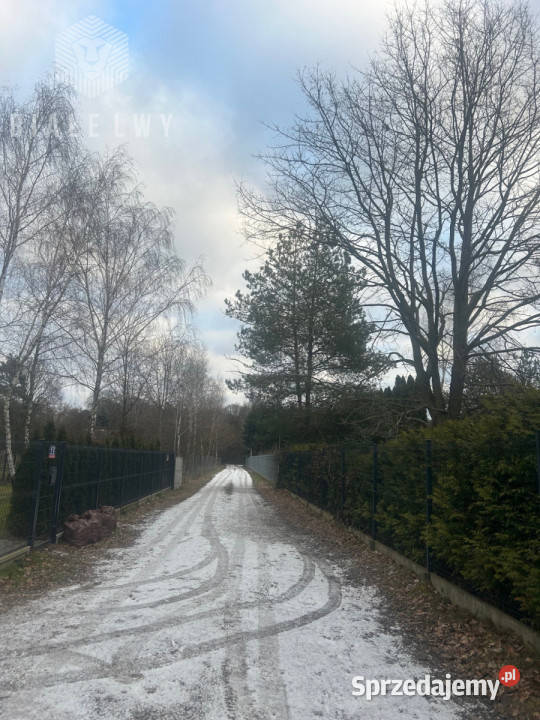 Dom szeregowy Laszczki Leśna 13083m2 Liczba pokoi 4 Sprzedaż mazowieckie