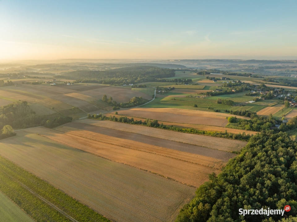 2 ha pozwolenie na 3 domy gm Skała 395m małopolskie Barbarka