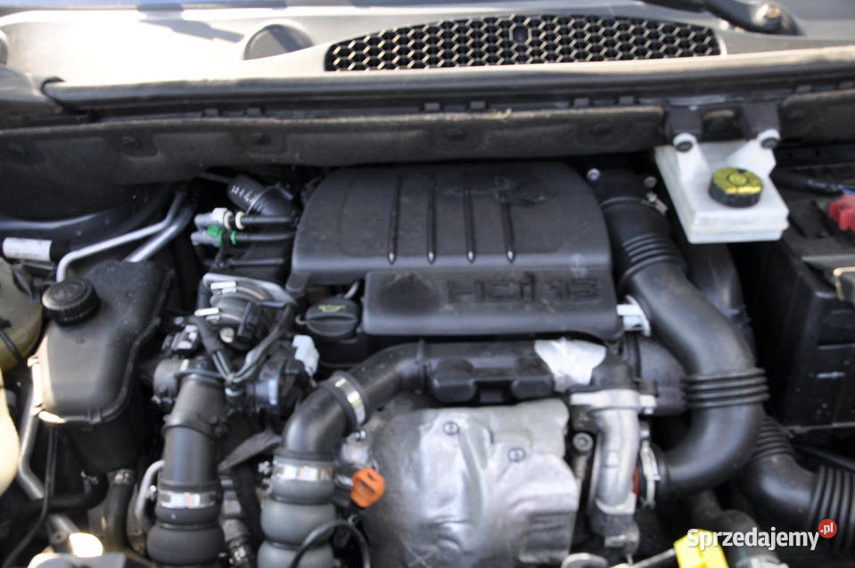 berlingo multi space rej manualna