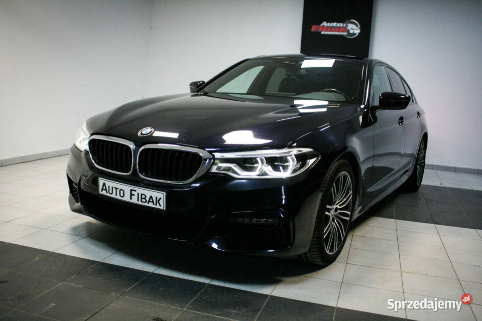 BMW 520 520dCarbonSchwarzMPakietFotele Konstantynów Łódzki