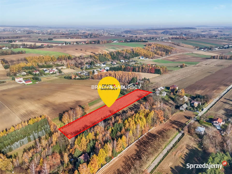 Grunt Przesławice 6000m2 budowlana małopolskie