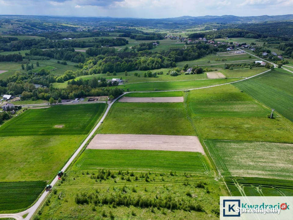 sprzedaży działki 10500m2 Czermna