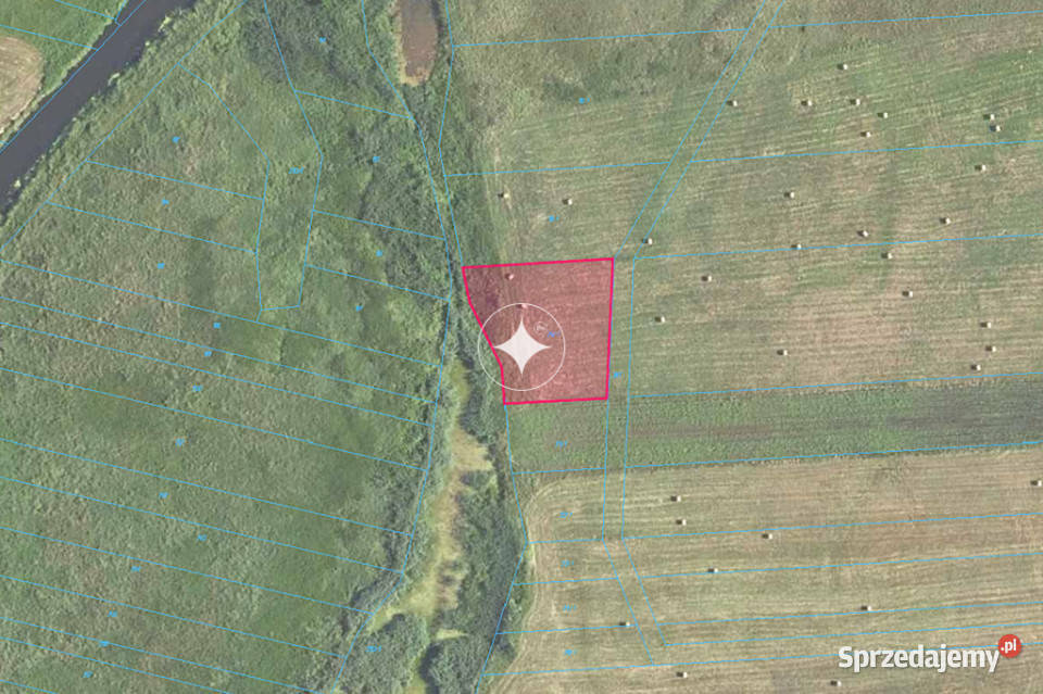 Łąka Horbów Kolonia gm Zalesie pow bialski rolna