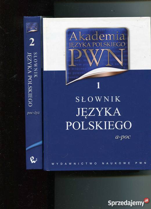 Słownik jezyka polskiego T12 Szczecin