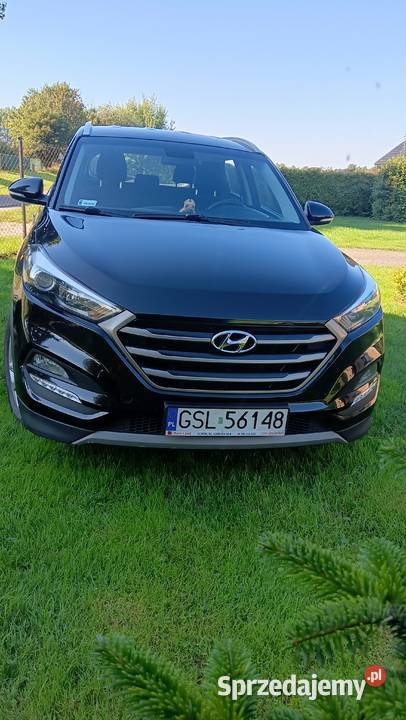 HYUNDAI TUCSON 17CRDI 2017 R Hyundai Główczyce