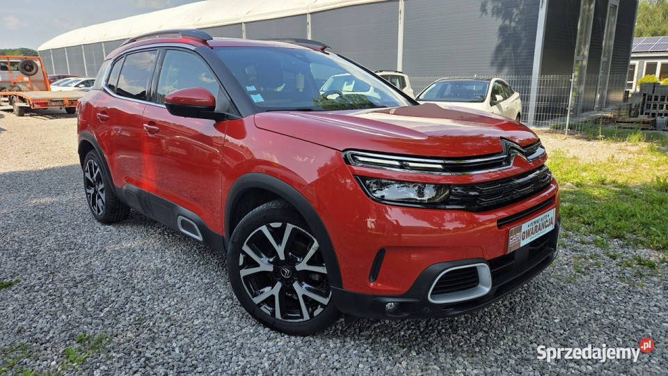 Citroen C5 Aircross 15 BlueHdi 130 Skóra Blisy nawigacja Otwock Mały