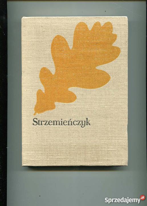 Strzemieńczyk zachodniopomorskie Szczecin