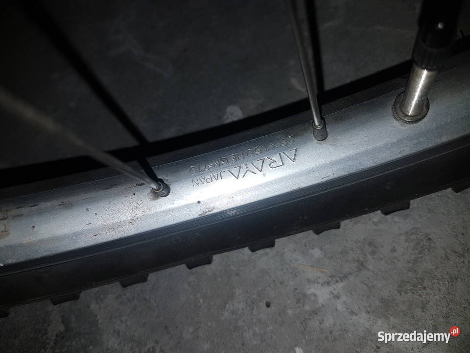 Mongoose Alta 1996 Barlinek