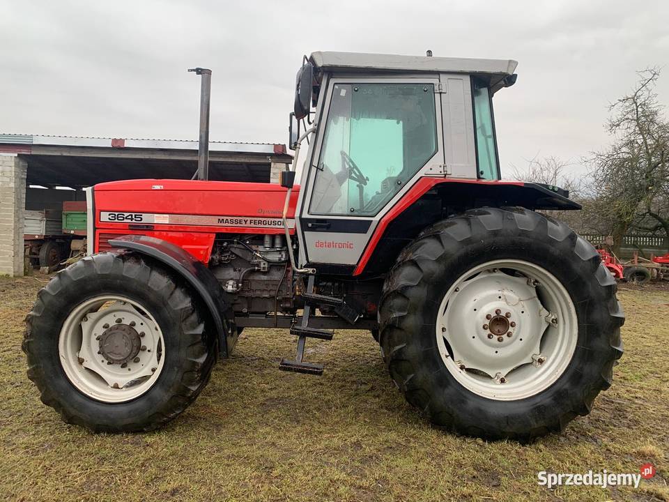 Massey Ferguson 3645 Massey Ferguson świętokrzyskie Opatów