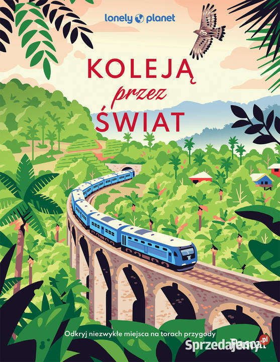 Koleją świat Odkryj niezwykłe miejsca na torach sprzedam