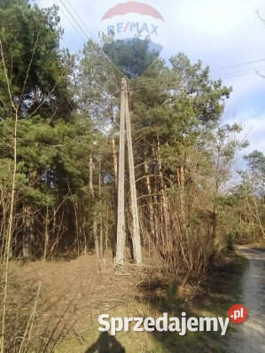 Działka Leśna w Radomiu inwestycyjna 7307m2