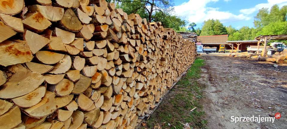Suche Drewno Kominkowe Wolsztyn Dostawa LDO
