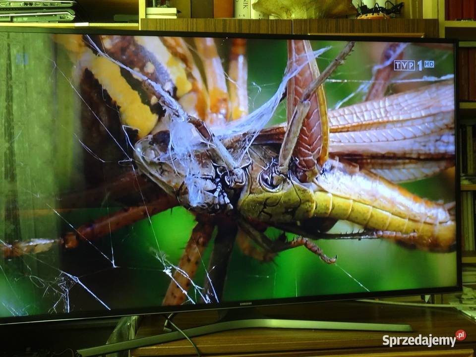 TCON BN9635161A Samsung UE55JU6440W Szczecin