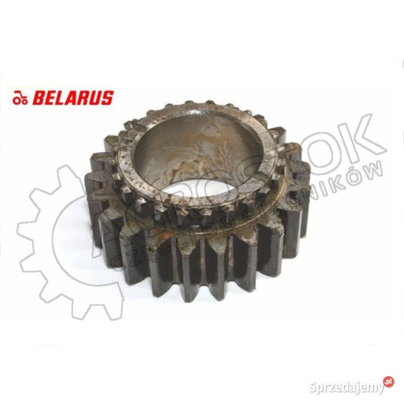 Koło zębate 22242 synchro MTZ 1025 1121701361 Pozostałe Parczew
