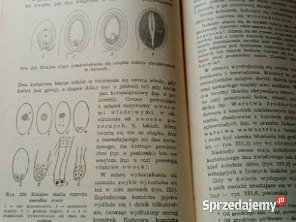 Botanika techników leśnych Obmiński 1959 Łódź