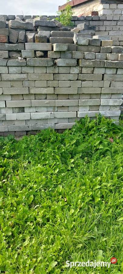 Biała cegła Jesionowo