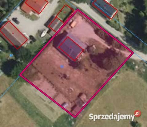 Syndyk sprzeda nieruchomość położoną w Golubkach Golubki