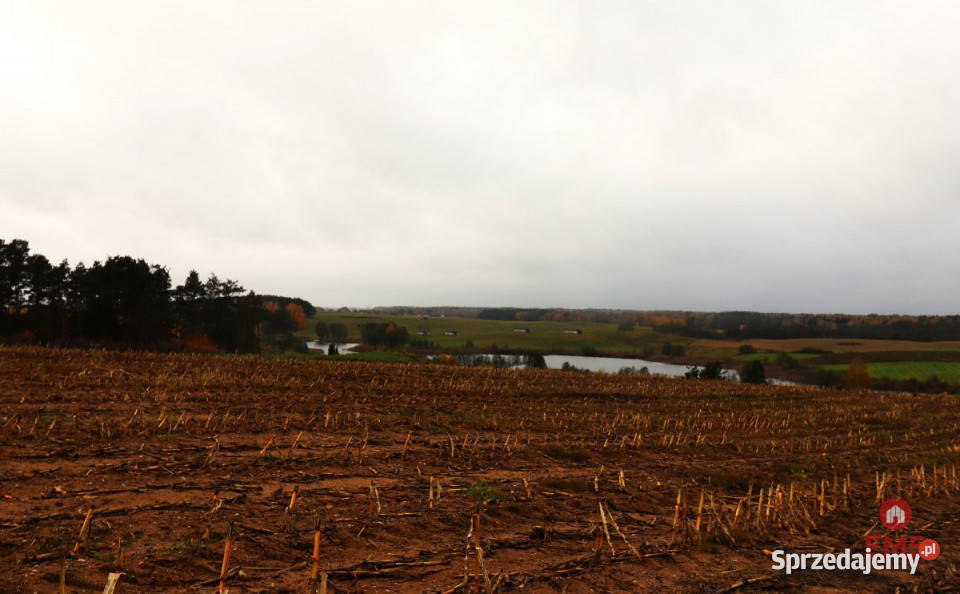 Działka 12000m2 Żegary