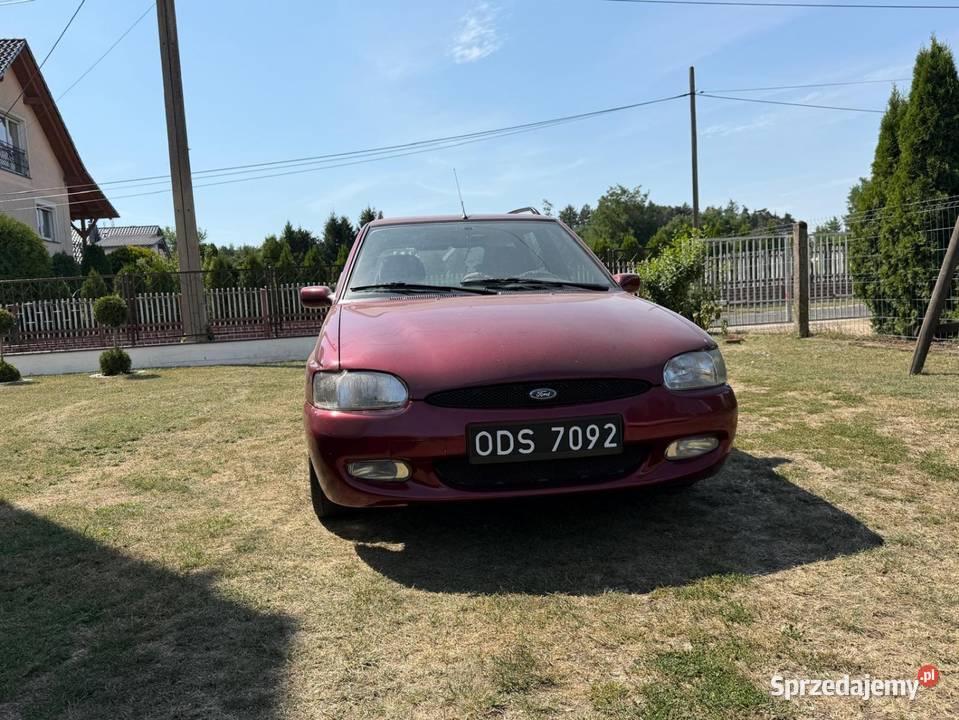 Ford Escort 18 TD 1999 nowości w jednych rękach Rożniątów